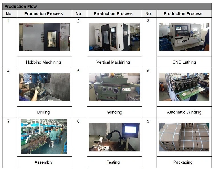 12V/24V Good Supplier Micro DC Gear Motor