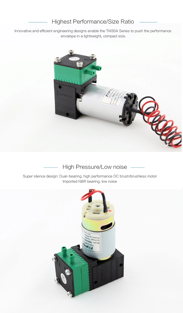 12V 24V Micro Vacuum and Air Diaphragm Pump (DC Brush motor)